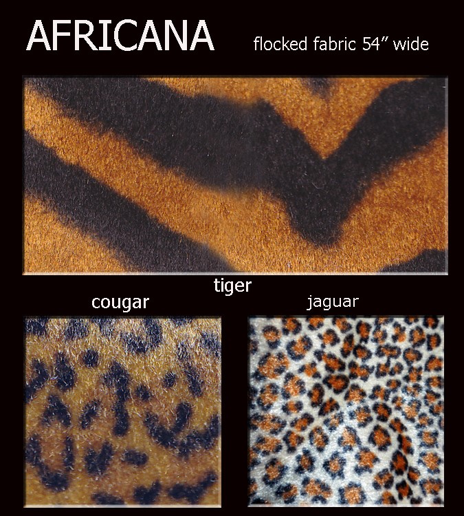 Africana Color Card