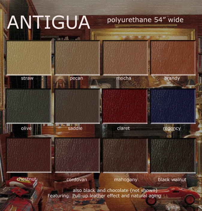 Antigua Color Card