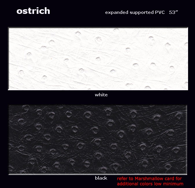 Ostrich Color Card