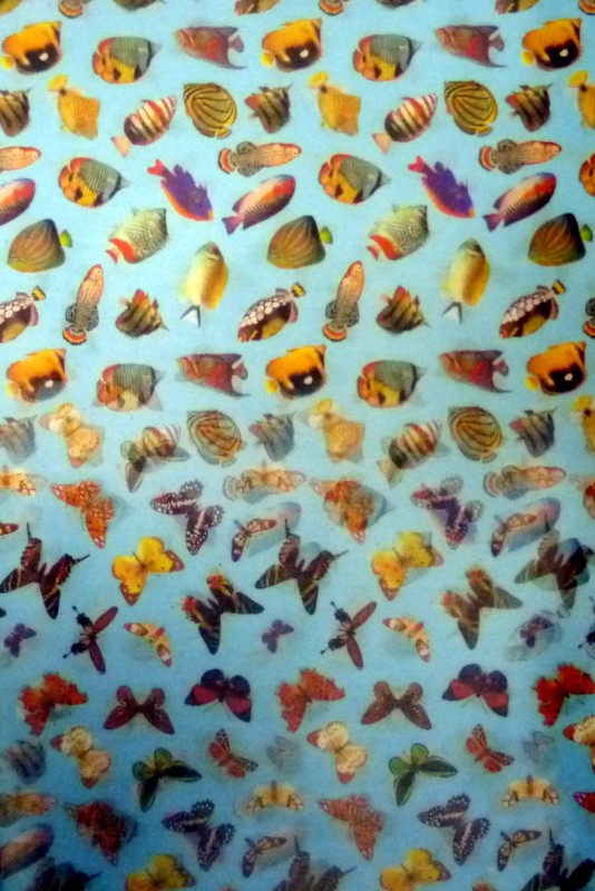 Lenticular Sheets 14 1/2" x 19" - Fish/Butterfly