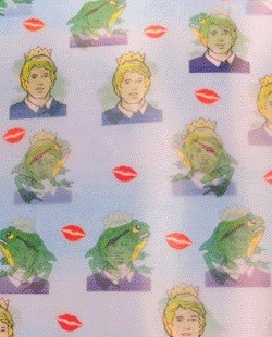 Lenticular Sheets 14 1/2" x 19" - Frog Prince