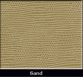 Lizard-Sand