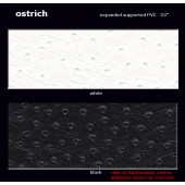 Ostrich Color Card