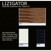 Lizigator Color Card