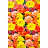 Lenticular Sheets 14 1/2" x 19" - Roses 3D 