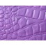 Purple Crocback