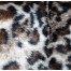 LA Leopard Fur